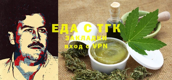 индика Краснослободск