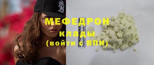 индика Краснослободск