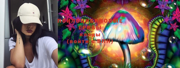 гашик Кодинск