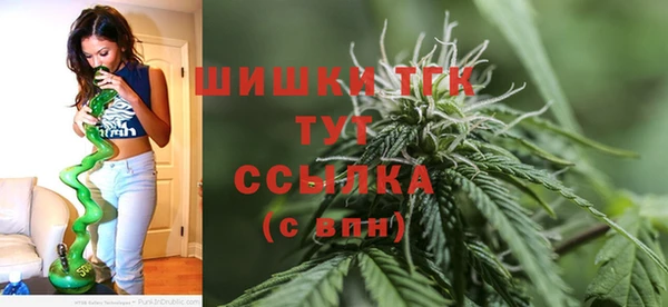 индика Краснослободск